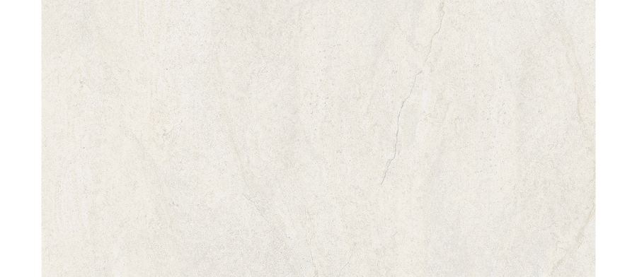 WM 37073.