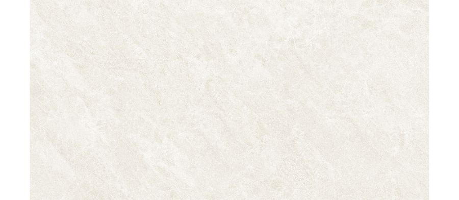WM 37107 IV